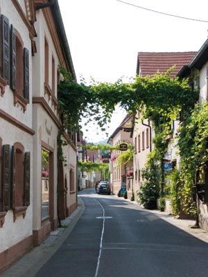 Grüne Brücken in einem Dorf in der Pfalz